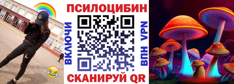 закладка Кубинка Галлюциногенные грибы мицелий